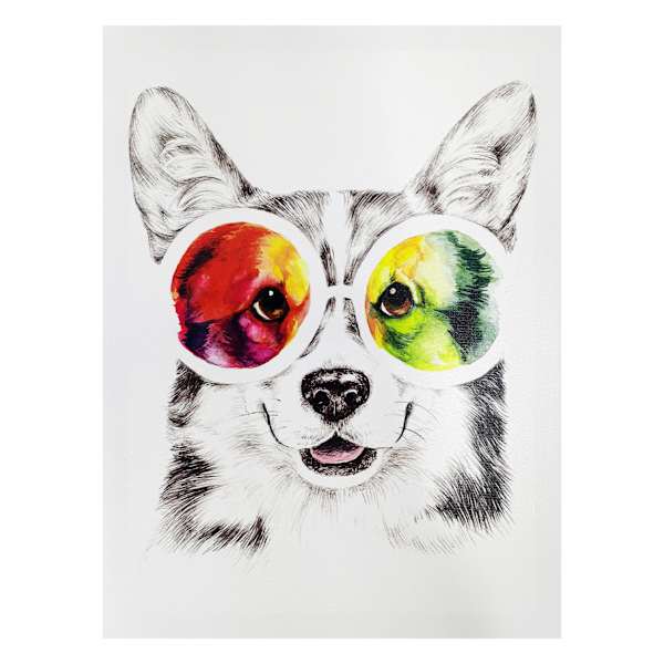 Corgi in Cosmic Glasses Canvas Wall Art, 12x16