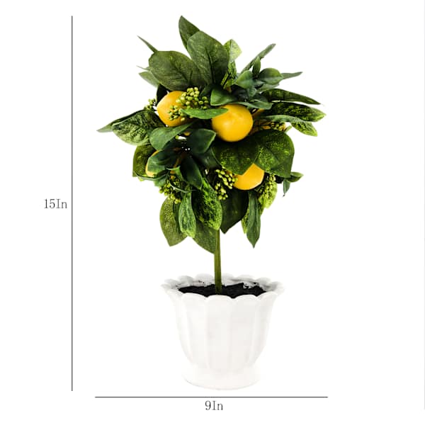 Lemon Plant in Ceramic Pot, 15"