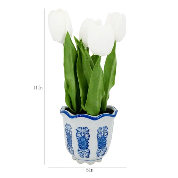 White Tulips in Blue & White Ceramic Pot, 11"