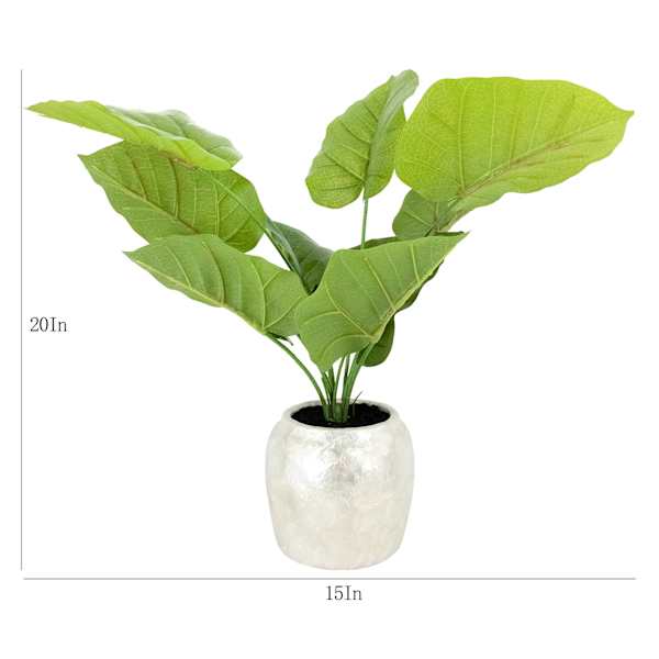 20IN TARO LEAF IN PEARLESCENT POT