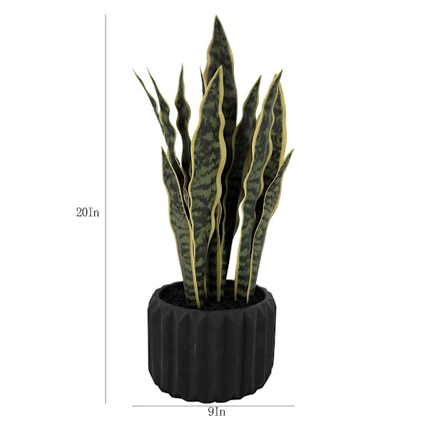 Snake Plant in Black Cement Pot, 20"