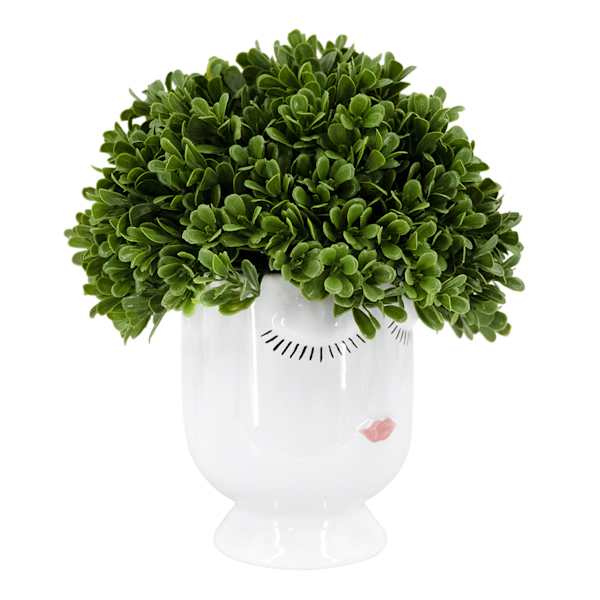 Boxwood in Face Vessel, 9"