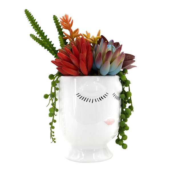 Succulent Mix in Face Vessel, 9.5"
