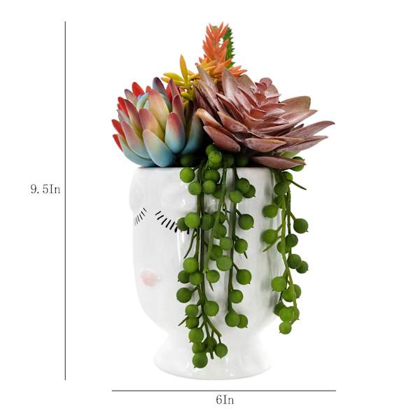 Succulent Mix in Face Vessel, 9.5"