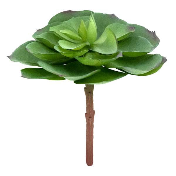 Green Succulent Pick, 5.5"