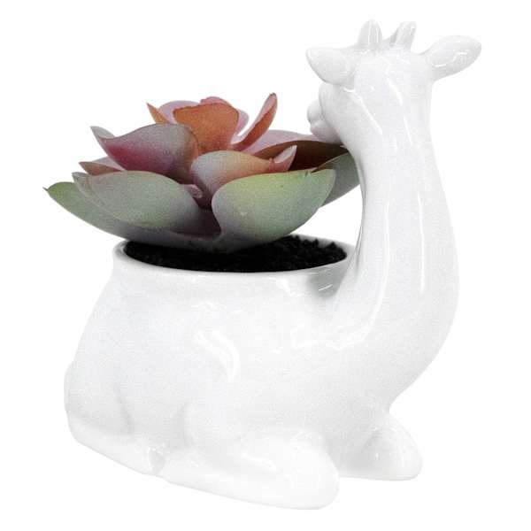 Succulent in Giraffe Pot, 4.5"