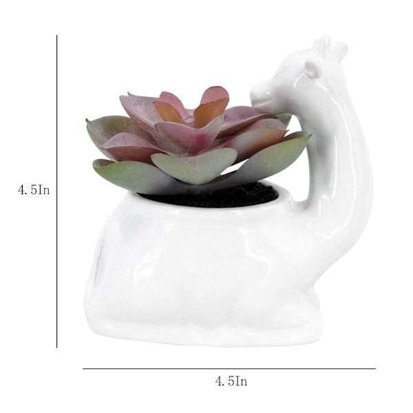 Succulent in Giraffe Pot, 4.5"