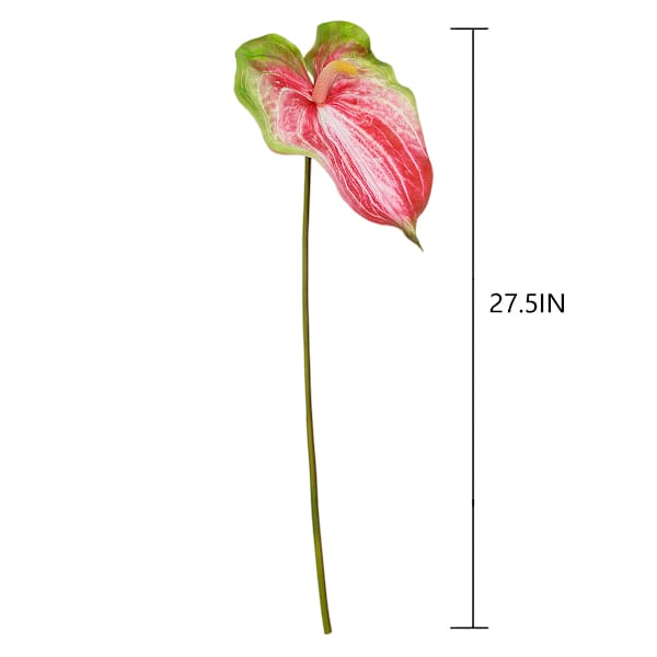 Green & Pink Anthurium Stem, 27.5"