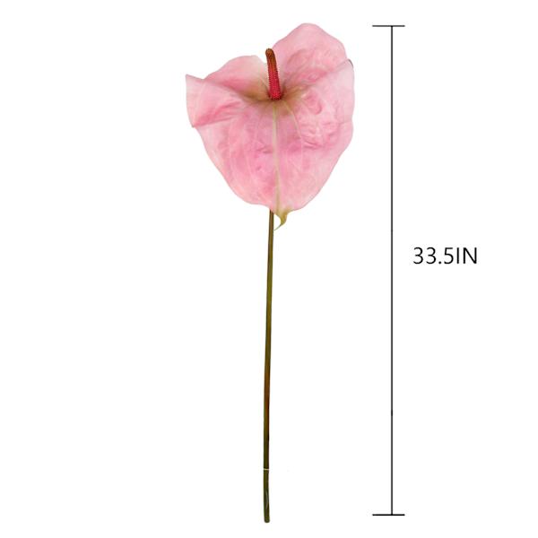 Pink Anthurium Stem, 33.5"