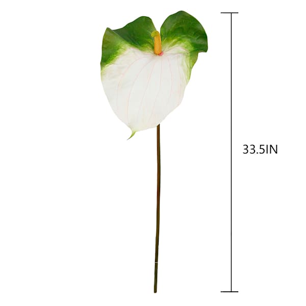 Green & White Anthurium Stem, 33.5"