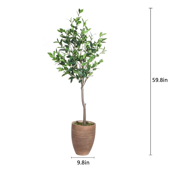 Bay Tree in Magnesia Pot, 47"