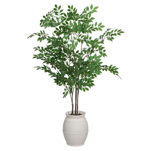 Green Leaf Tree in Magnesia Pot, 60"