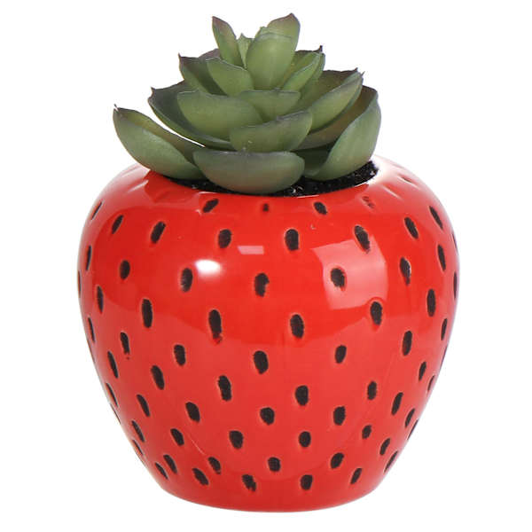 Mini Succulents in Red Strawberry Pot, 4.8"