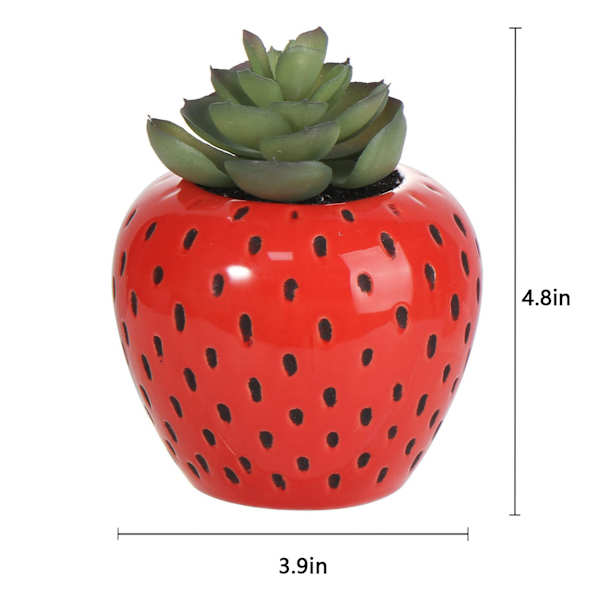 Mini Succulents in Red Strawberry Pot, 4.8"