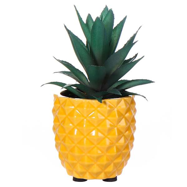 Mini Succulents in Pineapple Pot, 7"