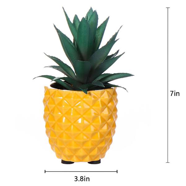 Mini Succulents in Pineapple Pot, 7"