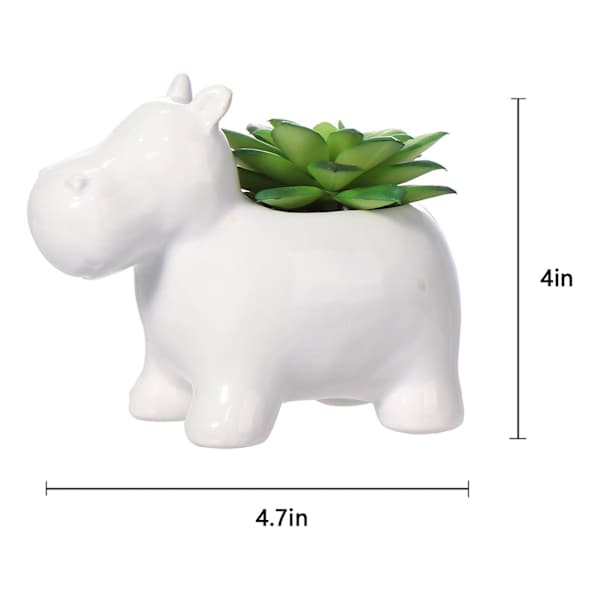 Mini Succulents in Ceramic Animal Pot
