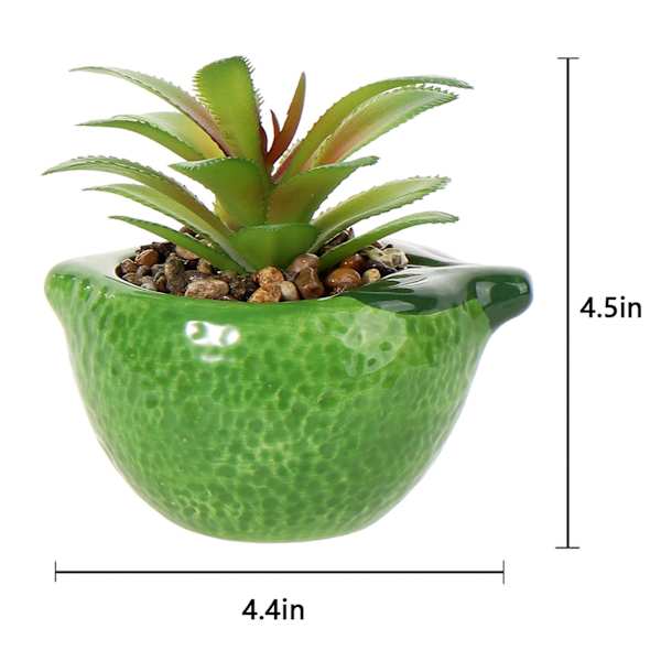 Mini Succulent in Green Lime Vase