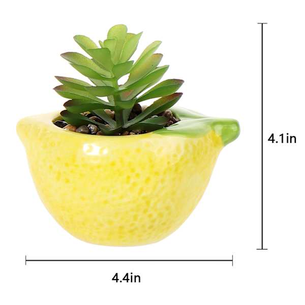 Mini Succulent in Lemon Vase