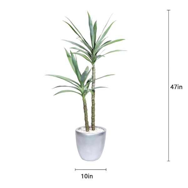 Dragon Tree in Silver Pot, 47"
