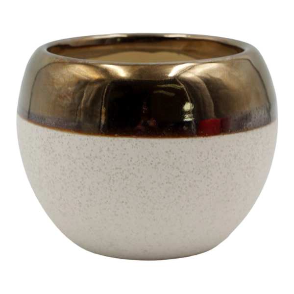 Indoor Cream Ceramic Pot with Bronze Trim, Small
