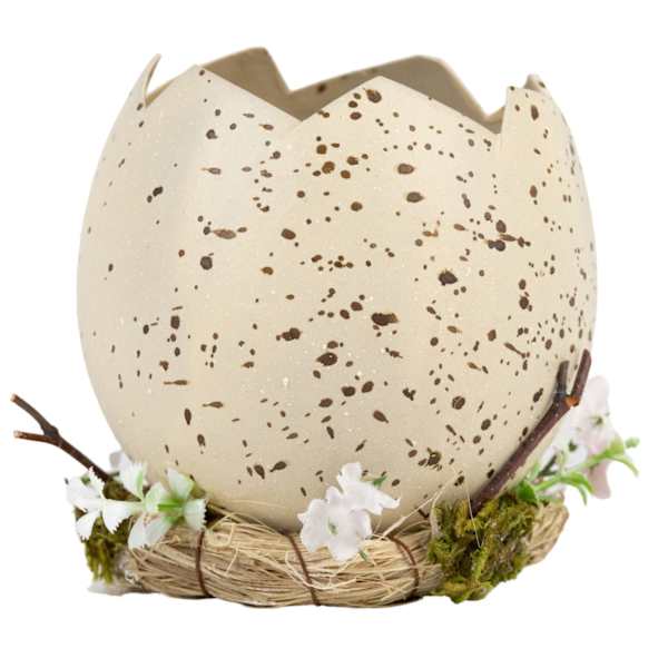 Honeybloom Natural Hatched Egg Shell Table Decor, 4"