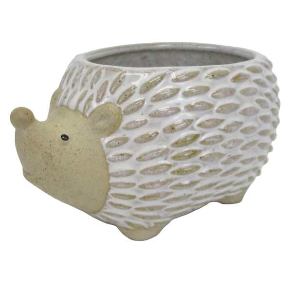 Indoor Hedgehog Ceramic Pot, Extra Small