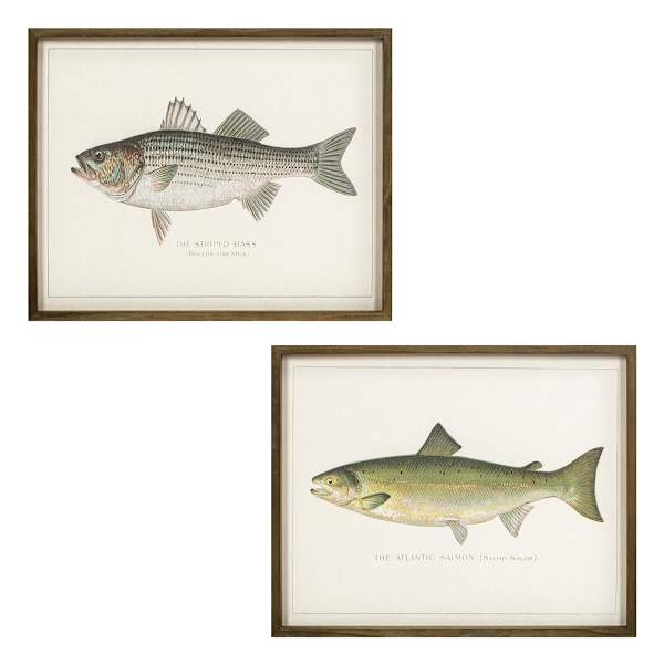 Lake & Lodge Set of 2 Framed Fish Wooden Wall Décor