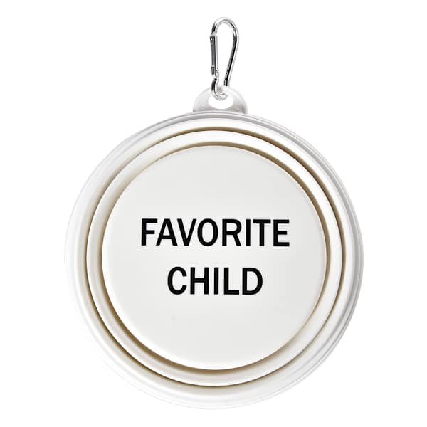 Collapsible Pet Bowl Favorite Child