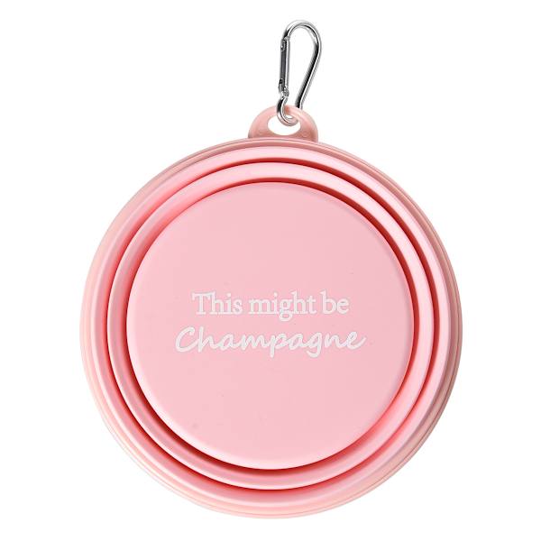 Collapsible Pet Bowl This Might Be Champagne