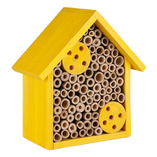 Wooden Insect House, 7.6"