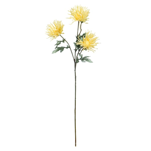Yellow Aftrican Daisy Spray, 29"