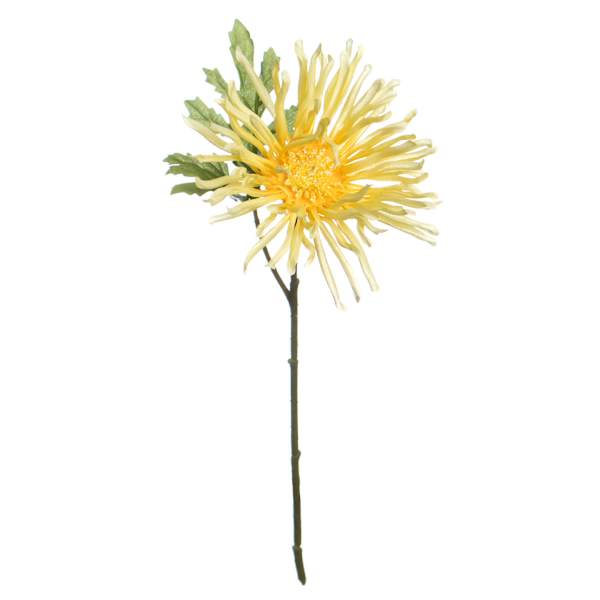 Yellow African Daisy Pick, 11"