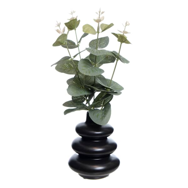 Eucalyptus in Black Ceramic Pot, 10"