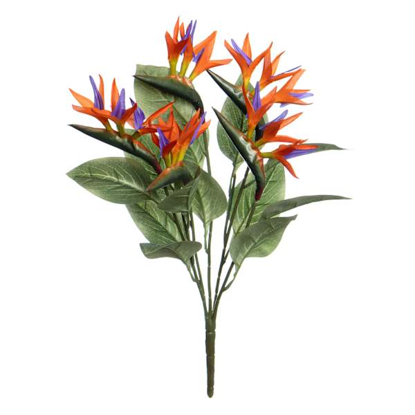 Bird of Paradise Wreath, 22"