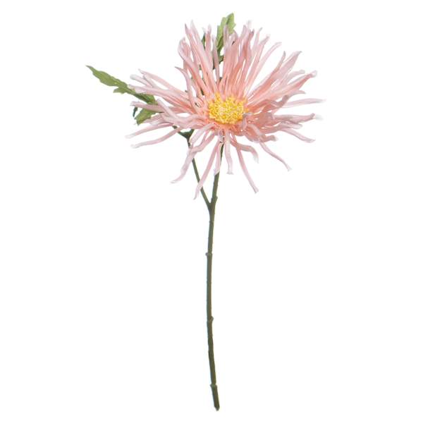 Pink African Daisy Pick, 11"