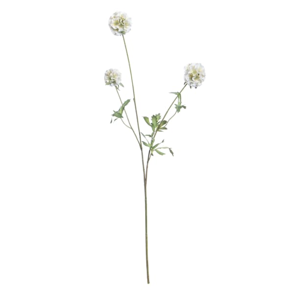 White Scabiosa Spray, 29.5"