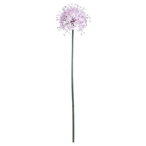 Light Purple Allium Stem, 29"
