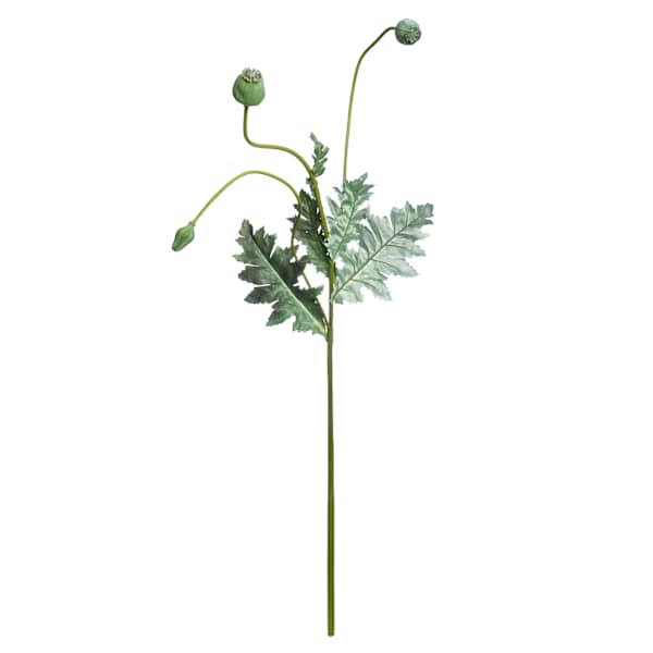 Poppy Pod Spray, 35"