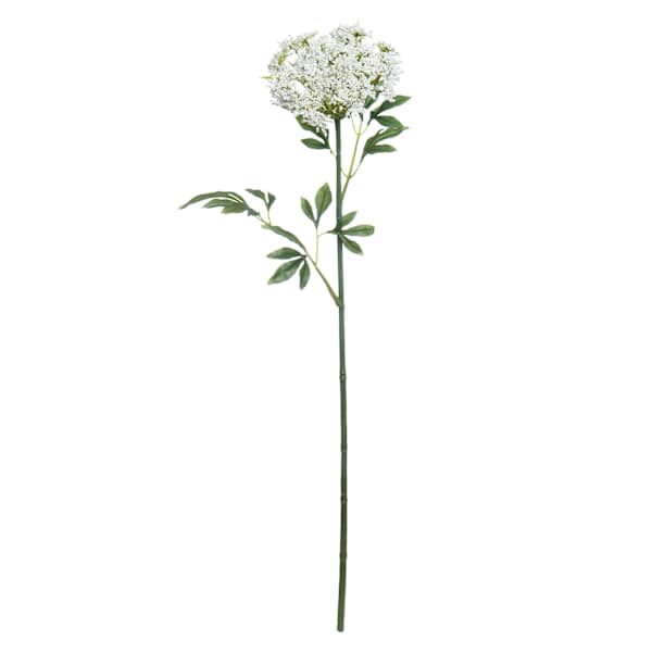Queen Ann's Lace Stem, 31"