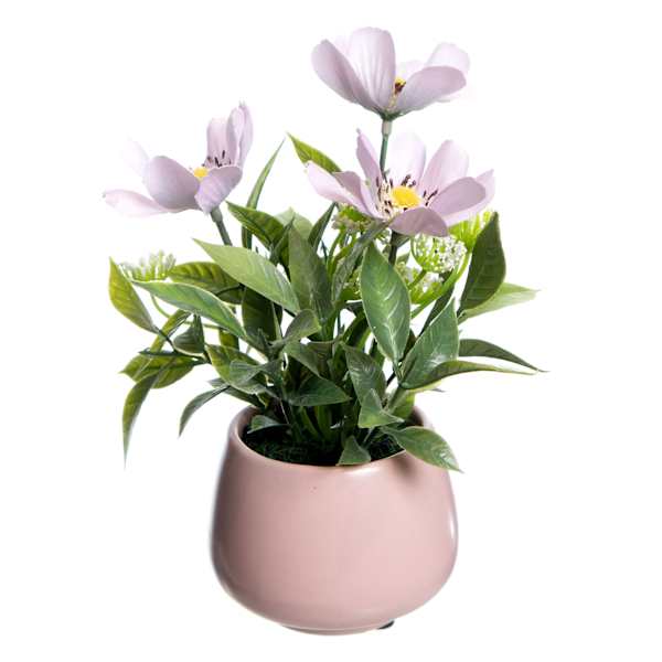 Cosmos in Pink Ceramic Pot, 8"