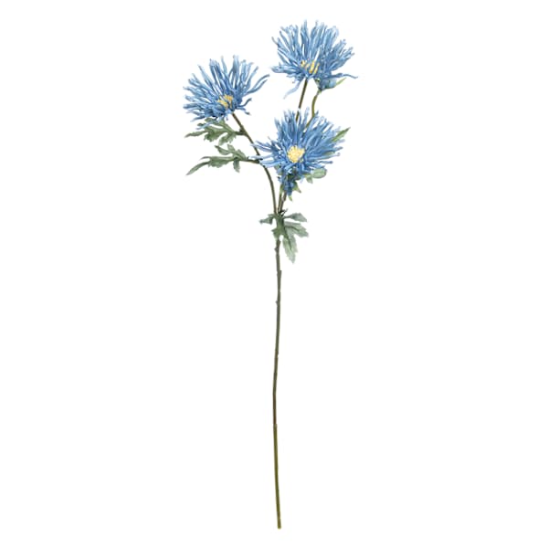 Blue African Daisy Spray, 29"