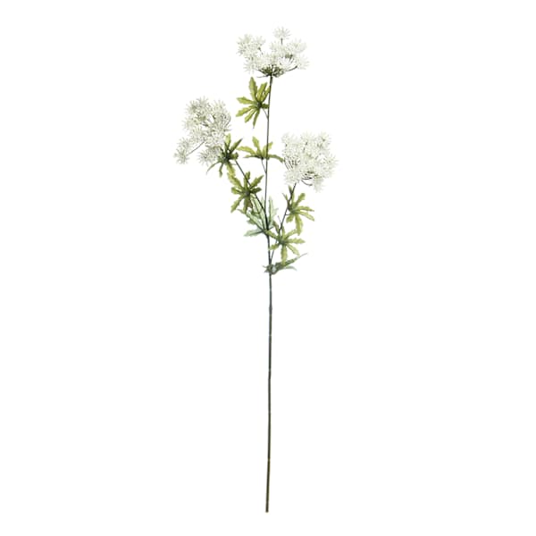 White Queen Anne's Lace Spray, 31"