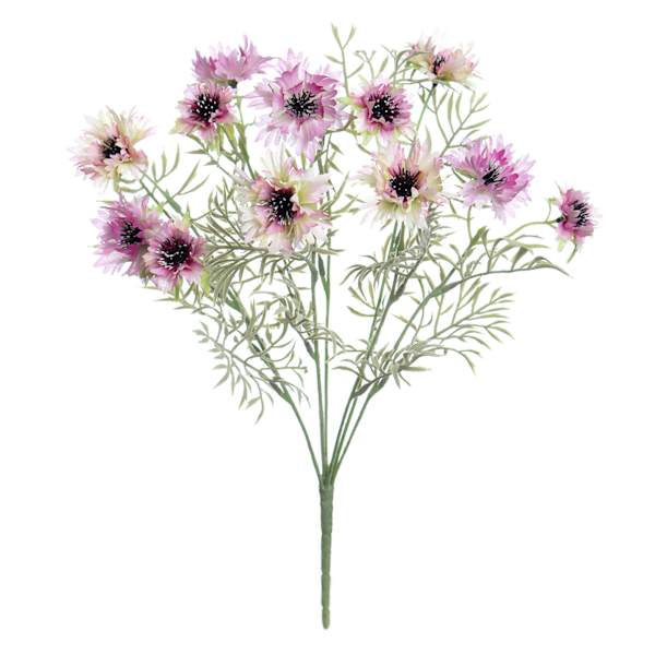 Purple Cornflower Bush, 19"