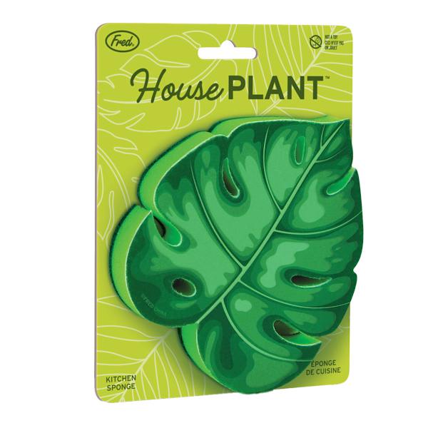 Fred Sponges - House Plant