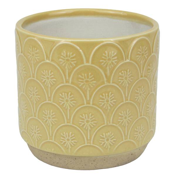 Honeybloom Indoor Aster Yellow Flower Planter, 4"
