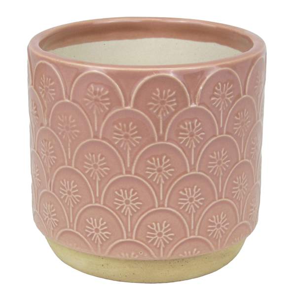 Honeybloom Indoor Aster Pink Flower Planter, 4"