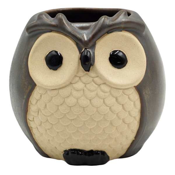 Indoor Owl Planter, 4"