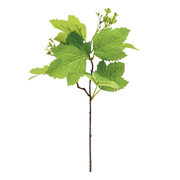 Willow Crossley Flowering Pick, 12"