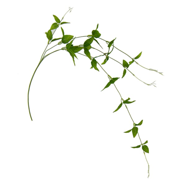 38IN L JASMINE VINE